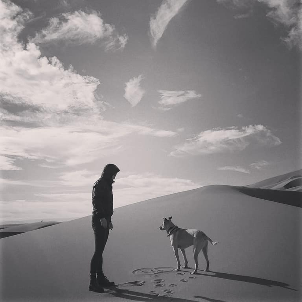 Meet your Posher, Oceana